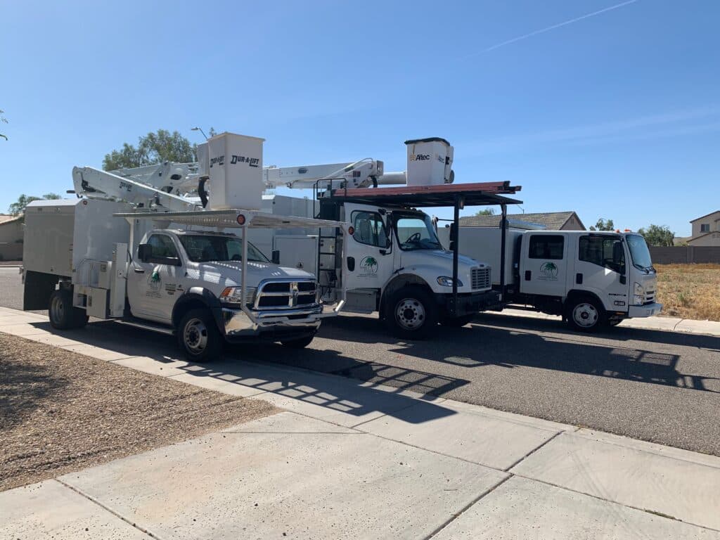 Ashtree Service commercial vehicle with professional equipment