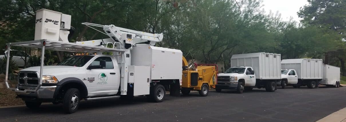 Ashtree Service commercial vehicle ready for tree service
